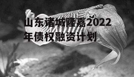 山东诸城隆嘉2022年债权融资计划