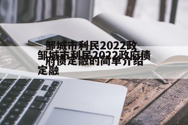 邹城市利民2022政府债定融的简单介绍