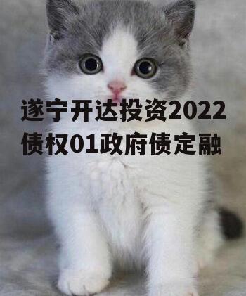 遂宁开达投资2022债权01政府债定融