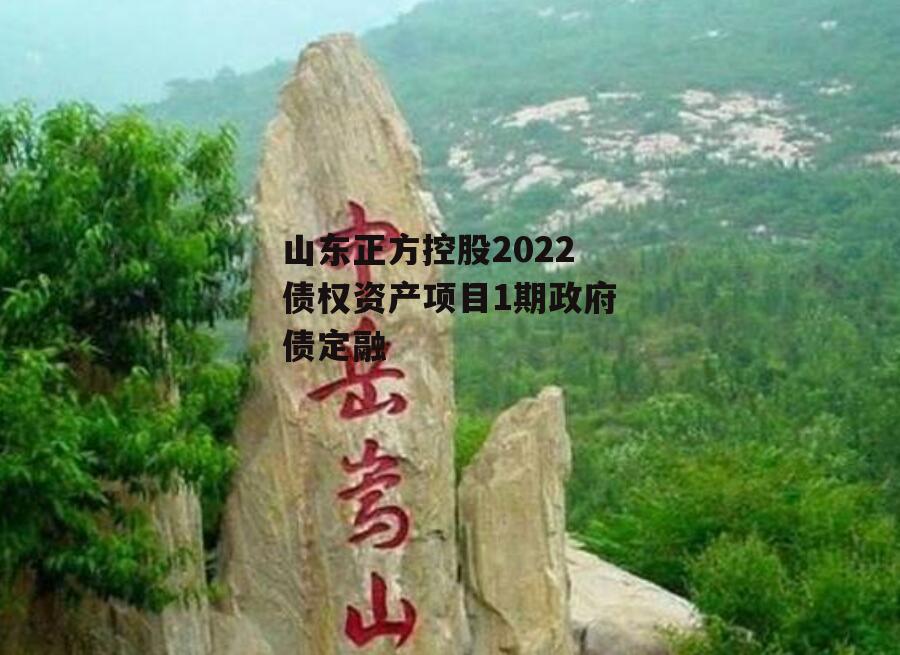 山东正方控股2022债权资产项目1期政府债定融