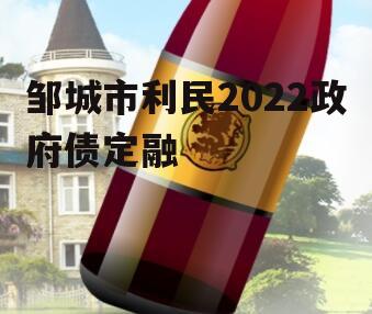 邹城市利民2022政府债定融