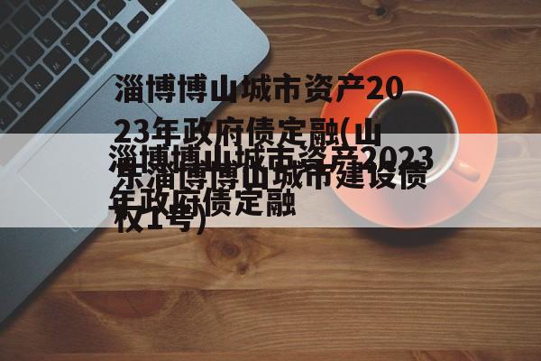 淄博博山城市资产2023年政府债定融(山东淄博博山城市建设债权1号)