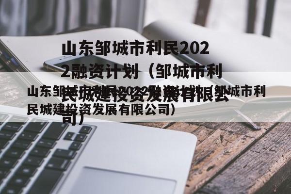 山东邹城市利民2022融资计划（邹城市利民城建投资发展有限公司）