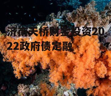 济南天桥财金投资2022政府债定融