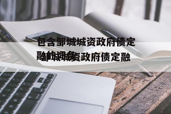 包含邹城城资政府债定融的词条