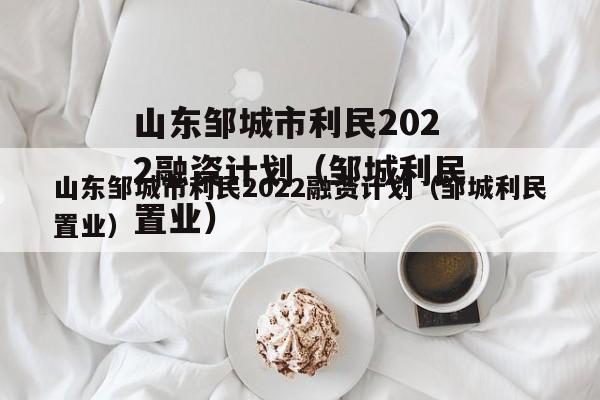 山东邹城市利民2022融资计划（邹城利民置业）