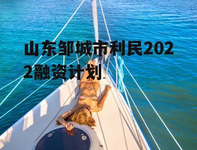 山东邹城市利民2022融资计划