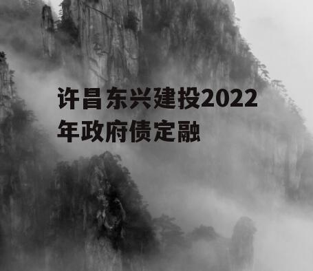 许昌东兴建投2022年政府债定融