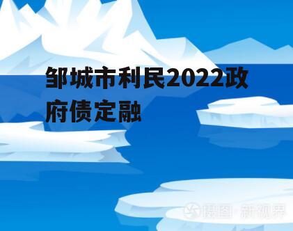 邹城市利民2022政府债定融