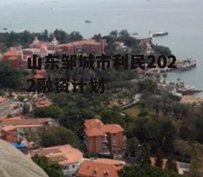 山东邹城市利民2022融资计划