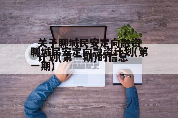 关于聊城民安定向融资计划(第一期)的信息