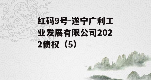 红码9号-遂宁广利工业发展有限公司2022债权（5）