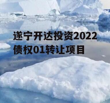 遂宁开达投资2022债权01转让项目