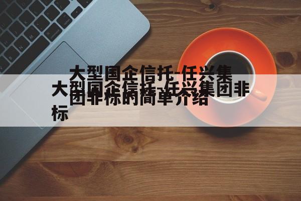 大型国企信托-任兴集团非标的简单介绍