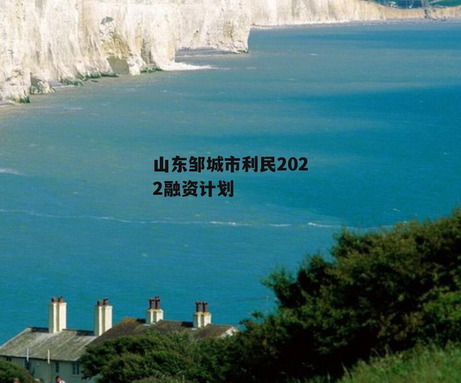 山东邹城市利民2022融资计划