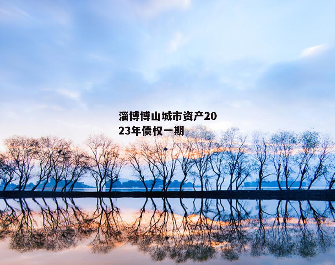 淄博博山城市资产2023年债权一期