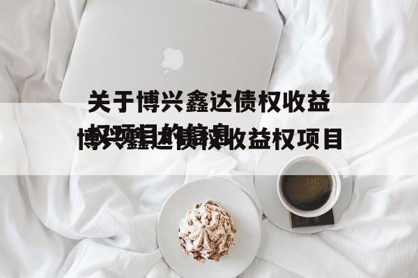 关于博兴鑫达债权收益权项目的信息