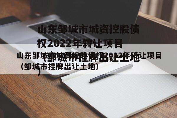 山东邹城市城资控股债权2022年转让项目（邹城市挂牌出让土地）