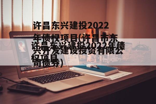 许昌东兴建投2022年债权项目(许昌市东兴开发建设投资有限公司债券)