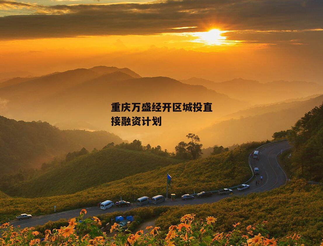 重庆万盛经开区城投直接融资计划
