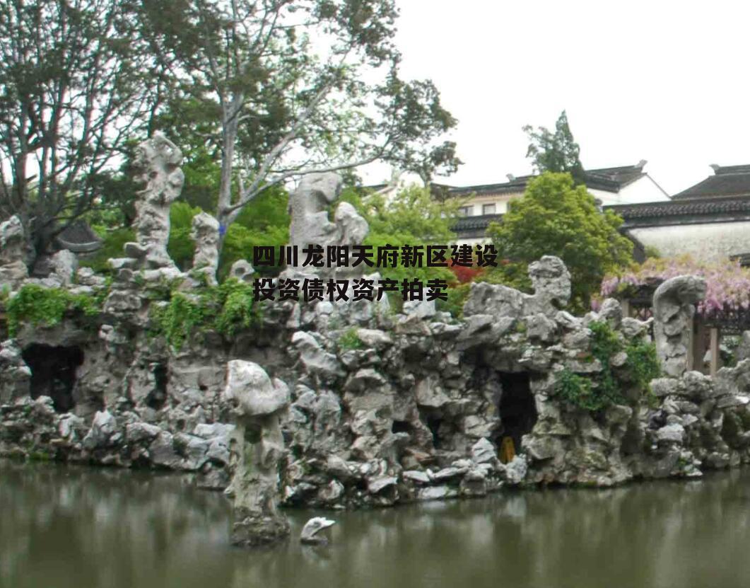 四川龙阳天府新区建设投资债权资产拍卖
