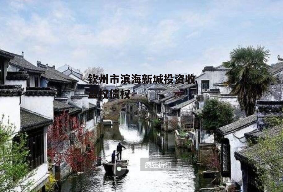 钦州市滨海新城投资收益权债权