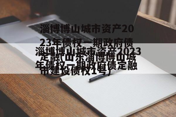 淄博博山城市资产2023年债权一期政府债定融(山东淄博博山城市建设债权1号)