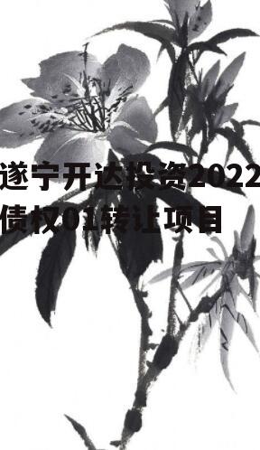 遂宁开达投资2022债权01转让项目