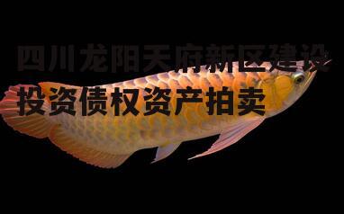 四川龙阳天府新区建设投资债权资产拍卖