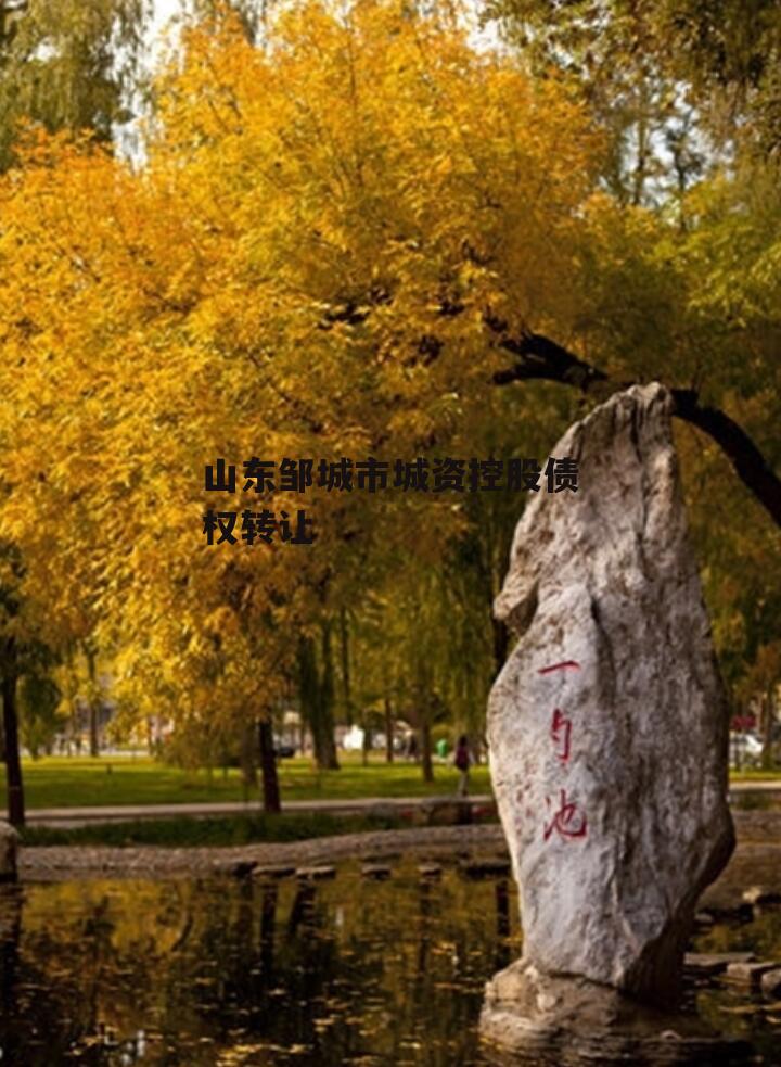 山东邹城市城资控股债权转让