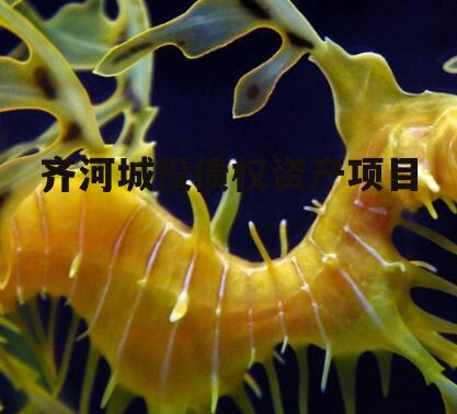 齐河城投债权资产项目