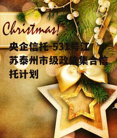 央企信托-531号江苏泰州市级政信集合信托计划