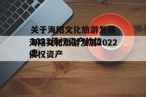 关于海阳文化旅游发展2022债权资产的信息