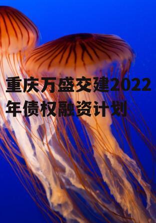 重庆万盛交建2022年债权融资计划