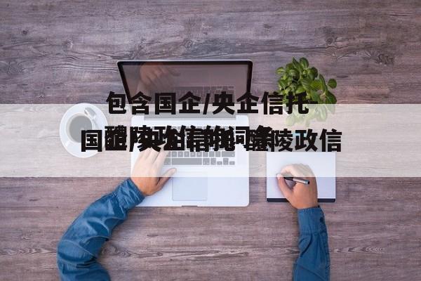 包含国企/央企信托-醴陵政信的词条