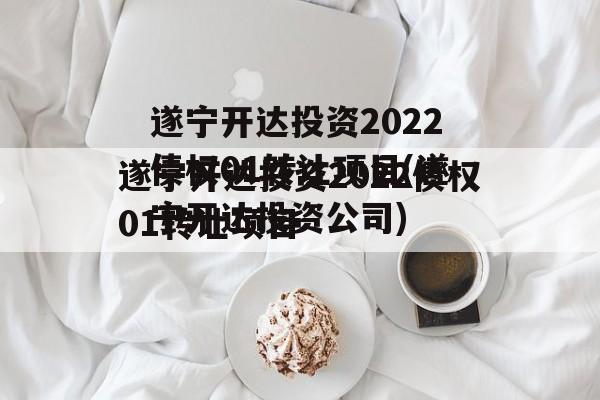 遂宁开达投资2022债权01转让项目(遂宁开达投资公司)