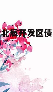 天津北辰开发区债权资产