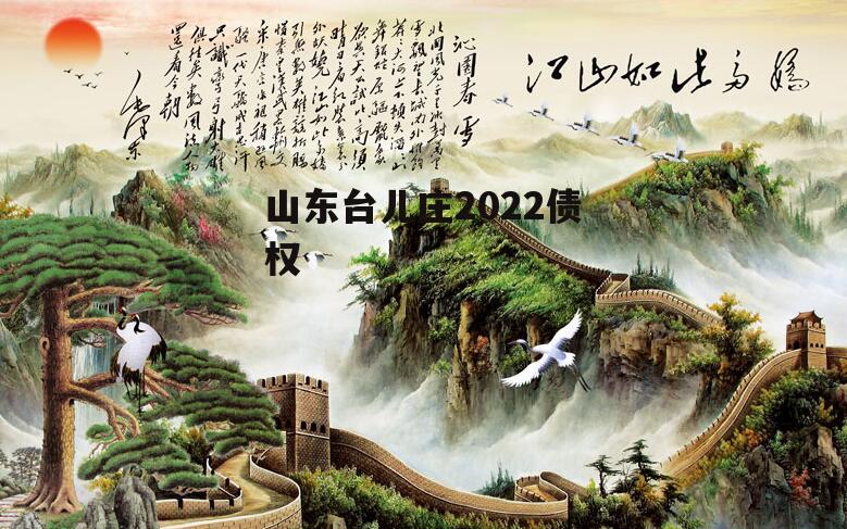 山东台儿庄2022债权