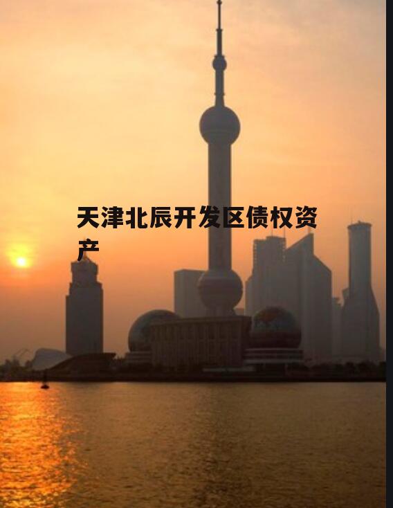 天津北辰开发区债权资产