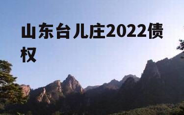 山东台儿庄2022债权