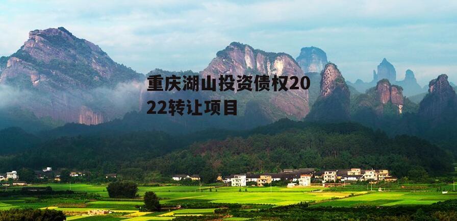 重庆湖山投资债权2022转让项目