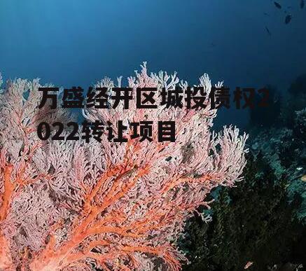 万盛经开区城投债权2022转让项目