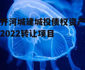 齐河城建城投债权资产2022转让项目