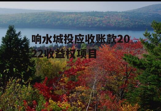 响水城投应收账款2022收益权项目