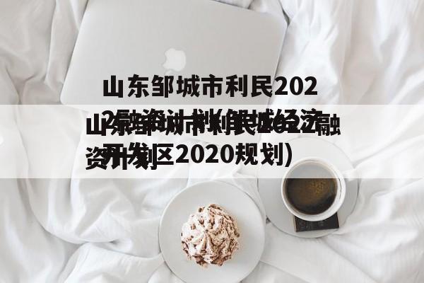 山东邹城市利民2022融资计划(邹城经济开发区2020规划)