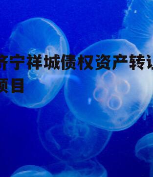 济宁祥城债权资产转让项目