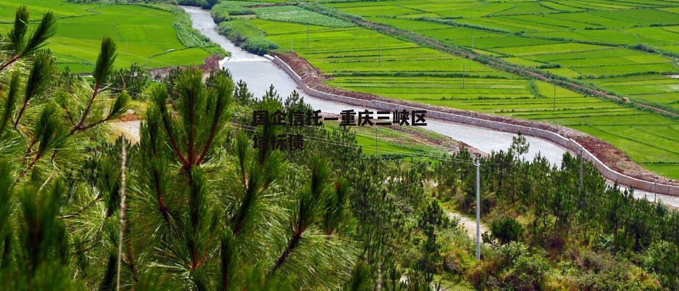 国企信托—重庆三峡区域标债