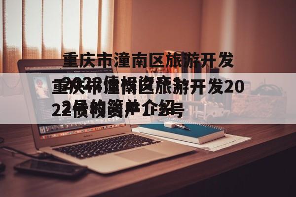 重庆市潼南区旅游开发2022债权资产1-2号的简单介绍