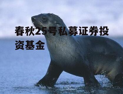 春秋25号私募证券投资基金