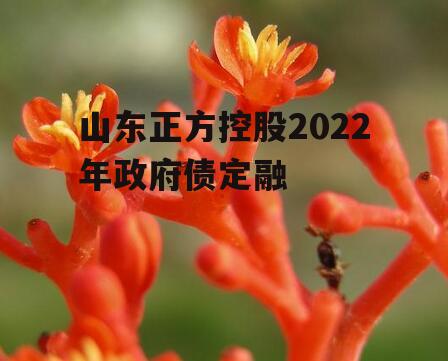 山东正方控股2022年政府债定融